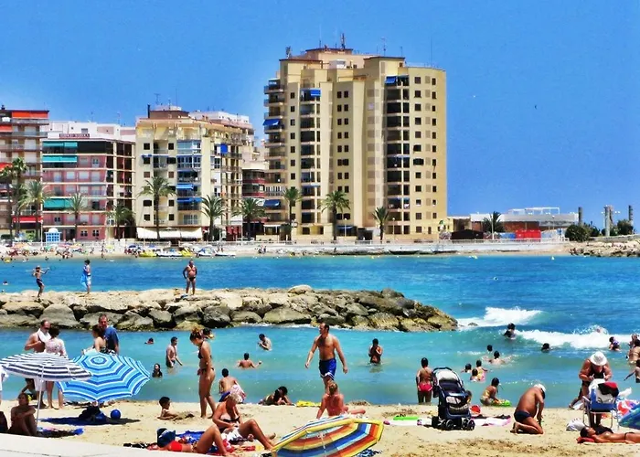 Tomillo Torrevieja